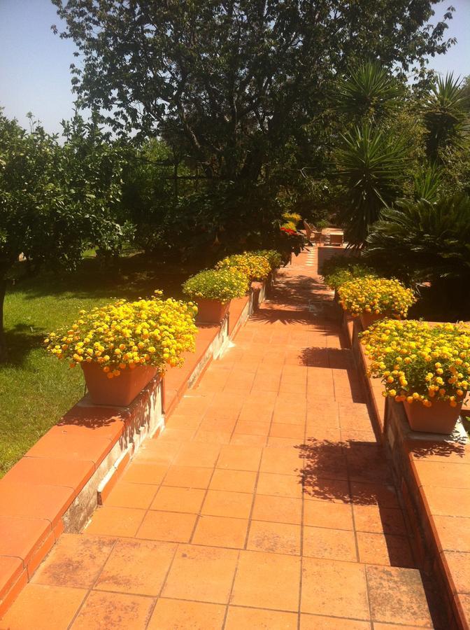 B&B Villa Irma Сорренто Экстерьер фото